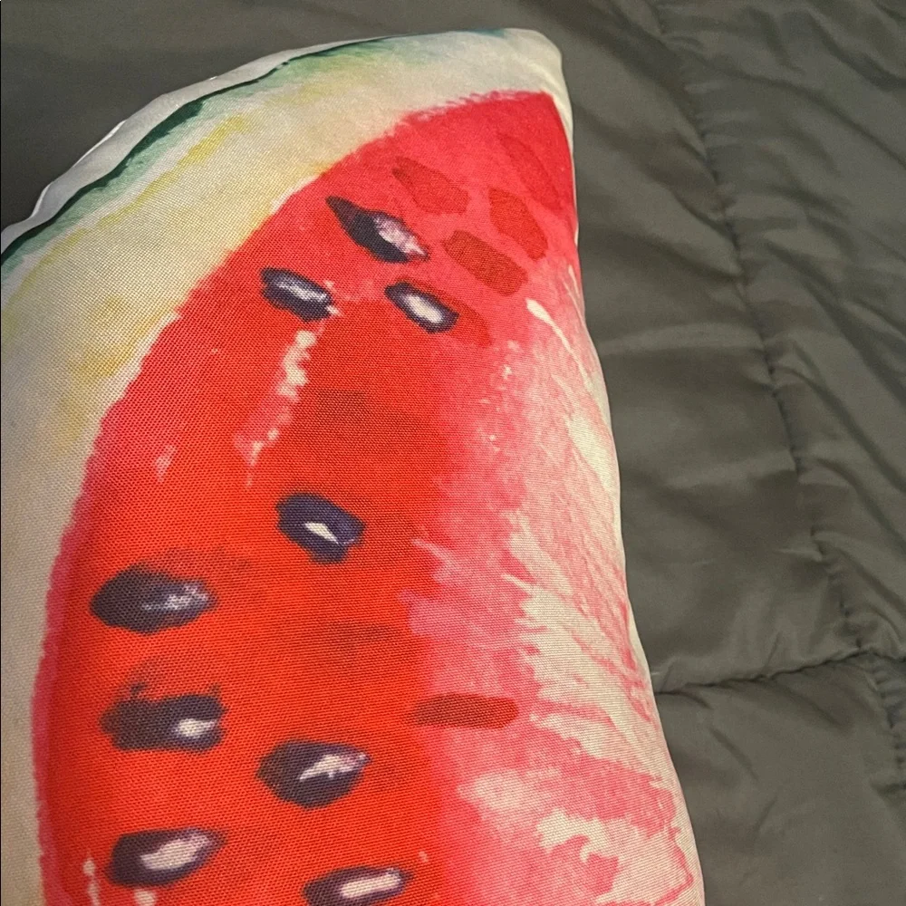 Watermelon Slice Pillow